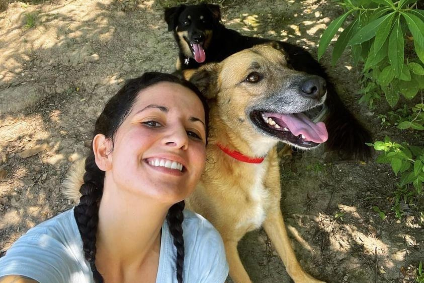 Founder of Stray To Stay Guatemala with two dogs