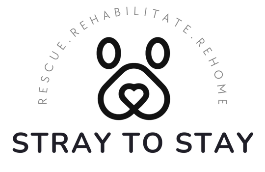 Stray to Stay Guatemala Logo